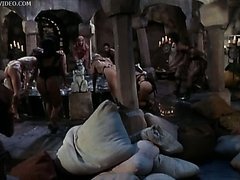 Lucky Guy Ends Up in a Harem of Horny Chicks