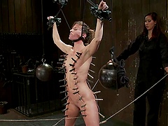 Ariel X gets whipped and pinched and enjoys it much