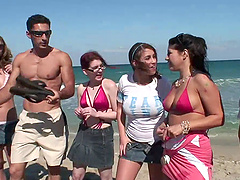 Horny babes in bikini coping up with huge dicks hardcore in reality shoot