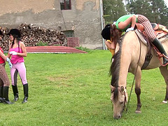 Girls in riding clothes and boots have a lesbian foursome on the farm