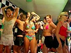 Seductive bimbos enjoy being hammered in a kinky orgy