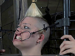 Denail Winter natural tits getting pinned lovely in BDSM