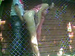 Naughty outdoor quickie gets caught on tape