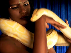 Dance The Erotic Night Away Before the Lust Go Wild