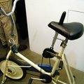 ebikepro@yyqhjx.com's Avatar